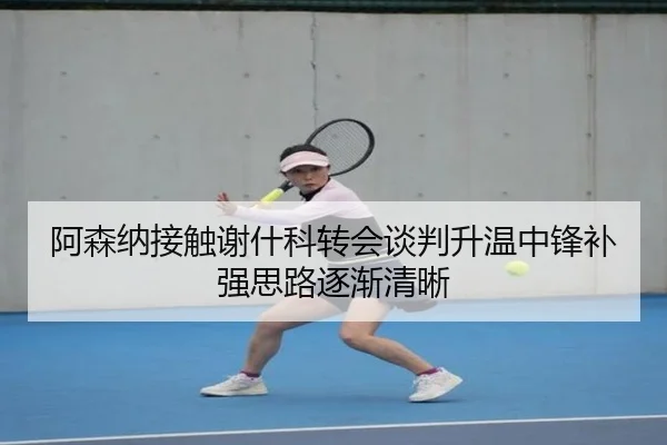 阿森纳接触谢什科转会谈判升温中锋补强思路逐渐清晰